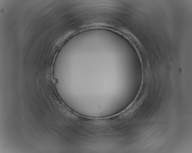 X0000074010785200608211042