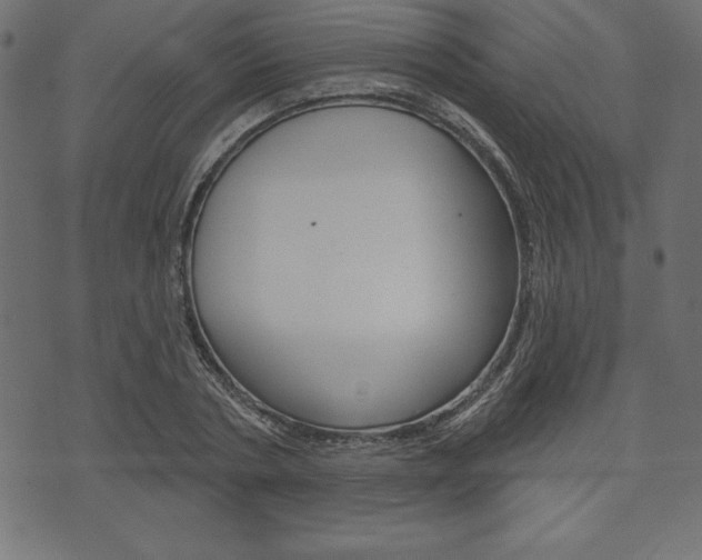 X0000074010786200608211042