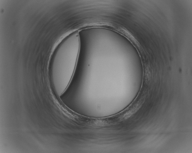 X0000074010787200608211042