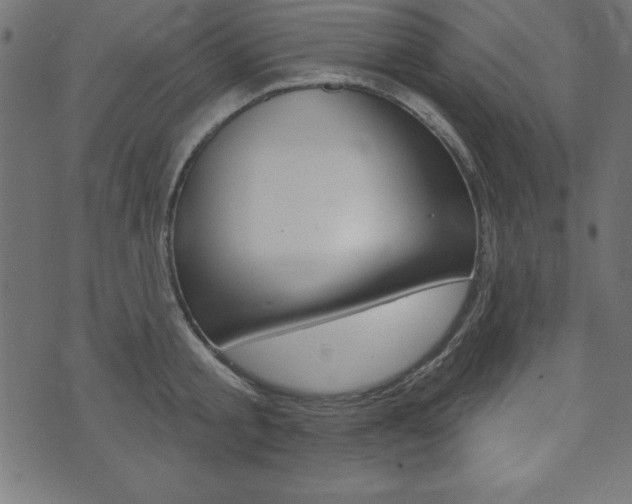 X0000074010805200608211042