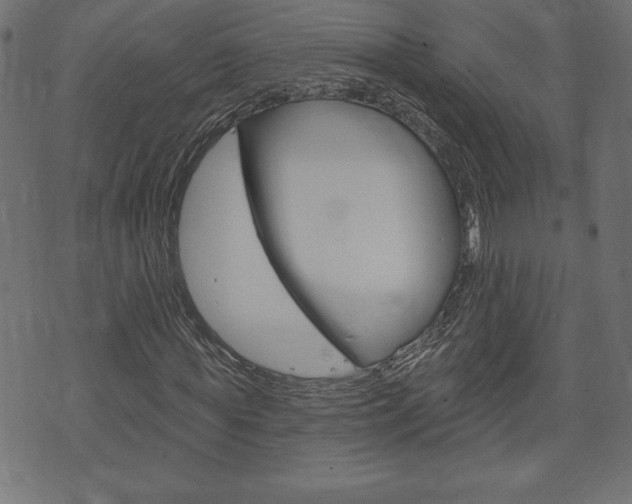 X0000074010819200608211041