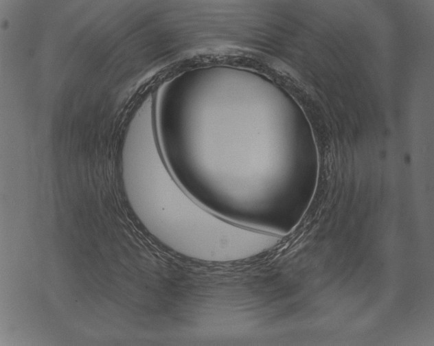 X0000074010822200608211041