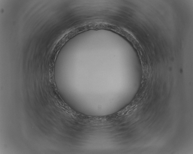 X0000074010823200608211041