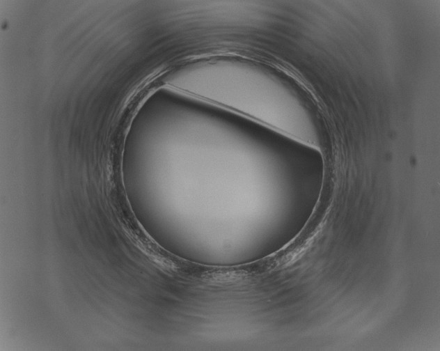 X0000074010826200608211041