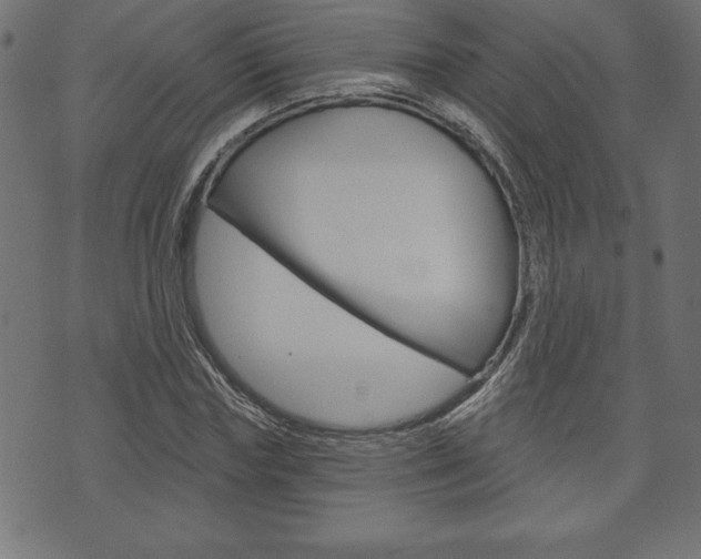 X0000074010827200608211041