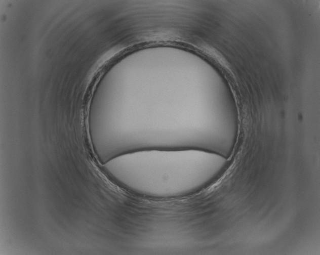 X0000074010831200608211041