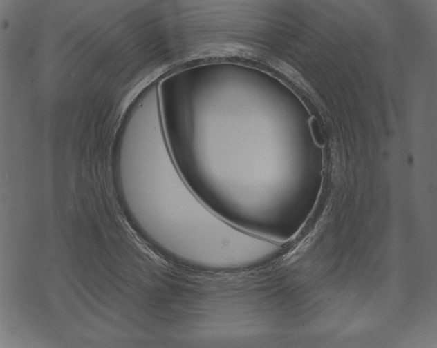 X0000074010834200608211041