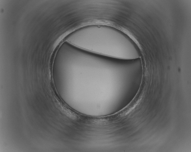 X0000074010837200608211041
