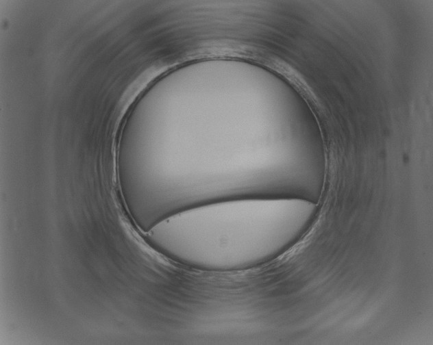 X0000074010844200608211041
