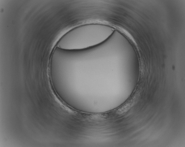 X0000074010847200608211041