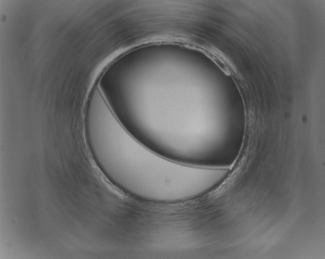 X0000074010854200608211041