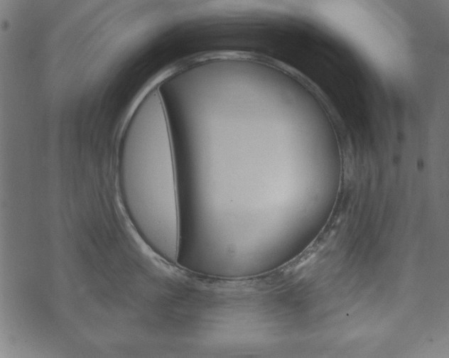 X0000074010861200608211042
