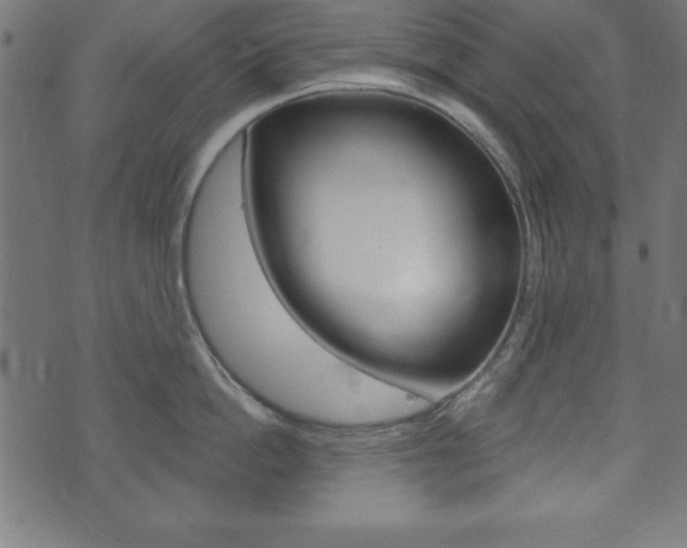 X0000074010862200608211042