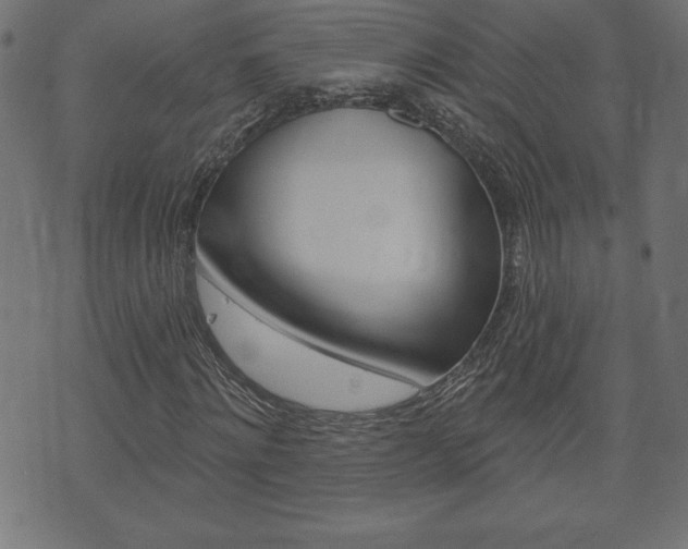 X0000074010868200608211041