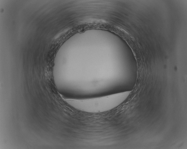 X0000074010869200608211041