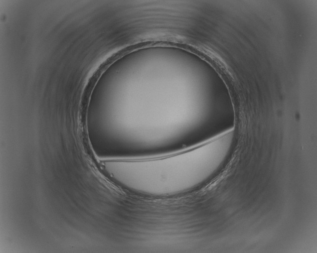 X0000074010880200608211041