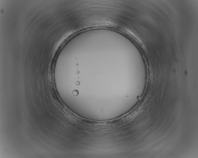 X0000074010883200608211041