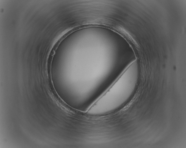 X0000074010884200608211040
