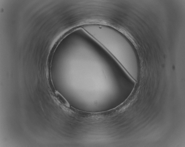 X0000074010888200608211040
