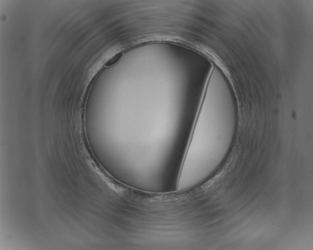 X0000074010898200608211040