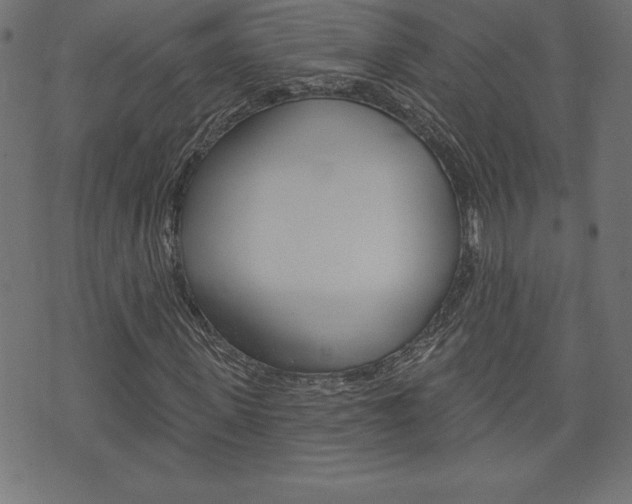 X0000074010915200608211039