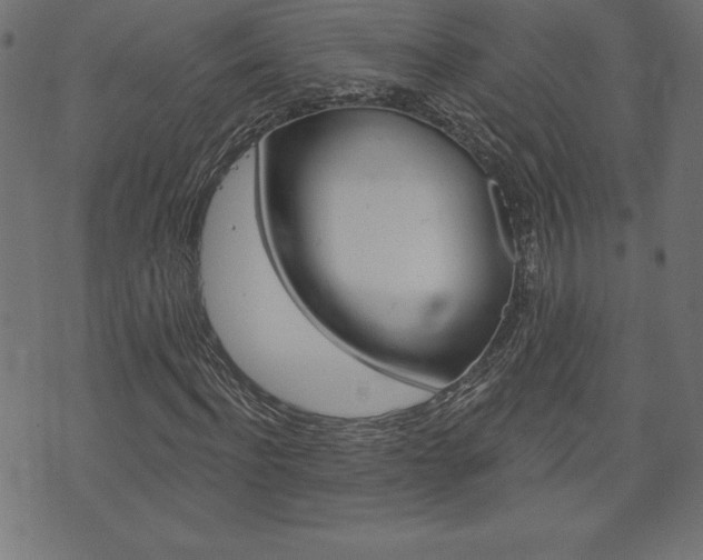 X0000074010916200608211039