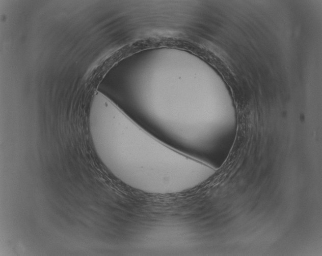 X0000074010919200608211039