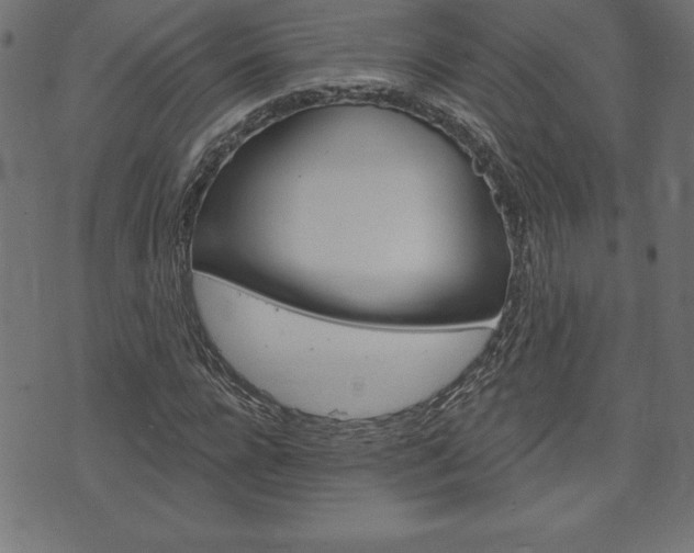 X0000074010920200608211039