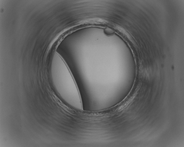X0000074010923200608211039