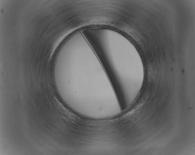 X0000074010926200608211039