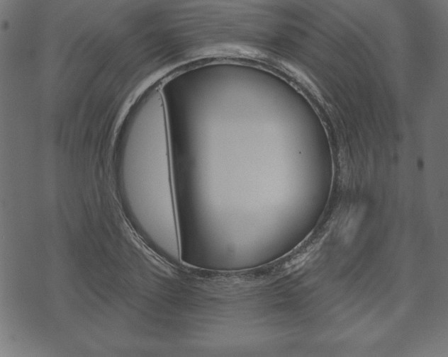 X0000074010931200608211040