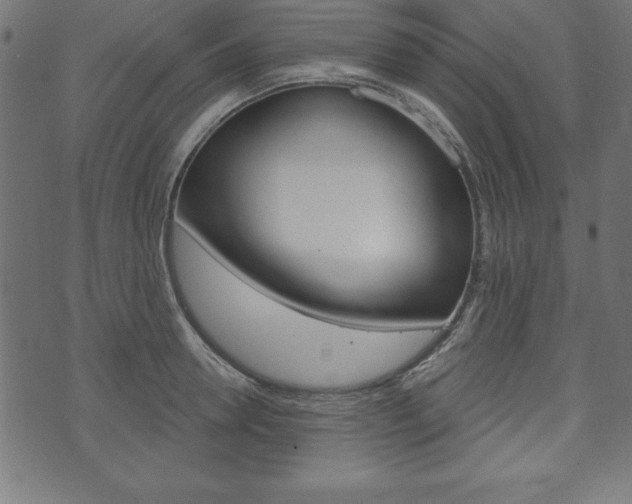 X0000074010946200608211040