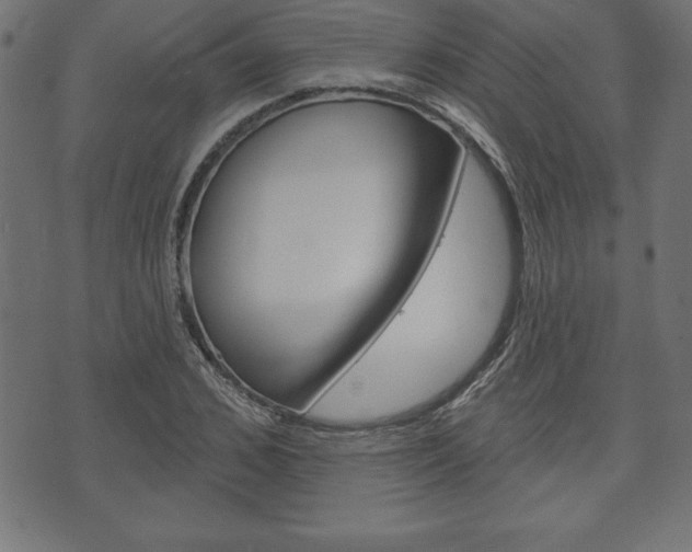 X0000074010976200608211039