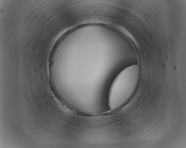 X0000074010988200608211039