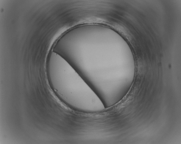 X0000074010990200608211039