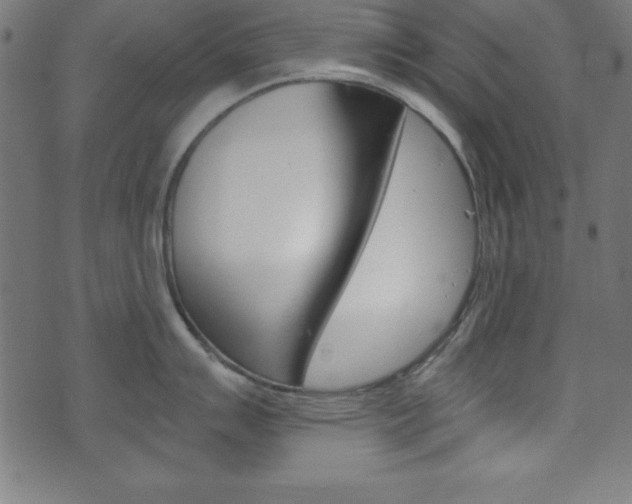 X0000074011007200608211038