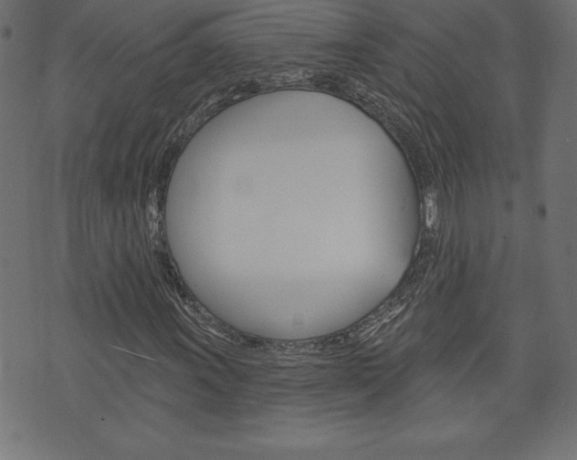 X0000074011011200608211038