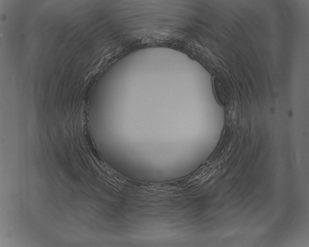 X0000074011012200608211038