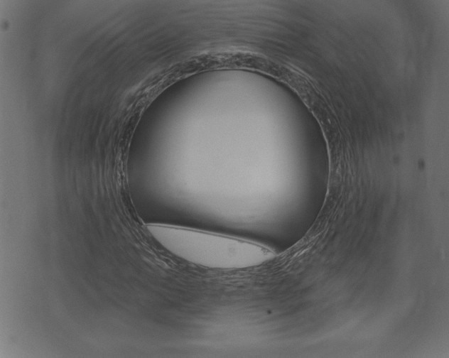 X0000074011014200608211038