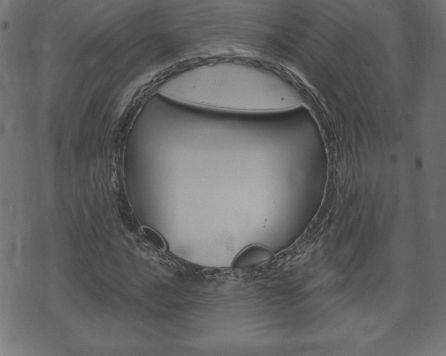 X0000074011016200608211038