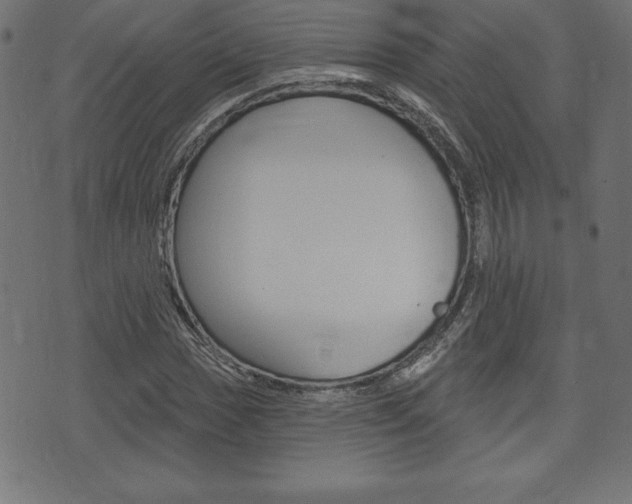 X0000074011017200608211038