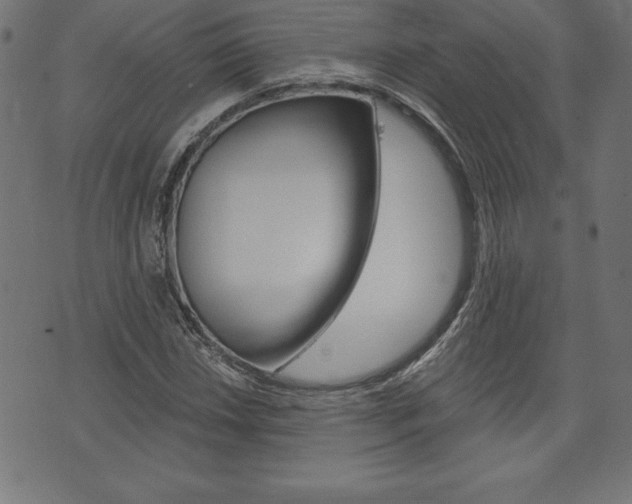 X0000074011018200608211038