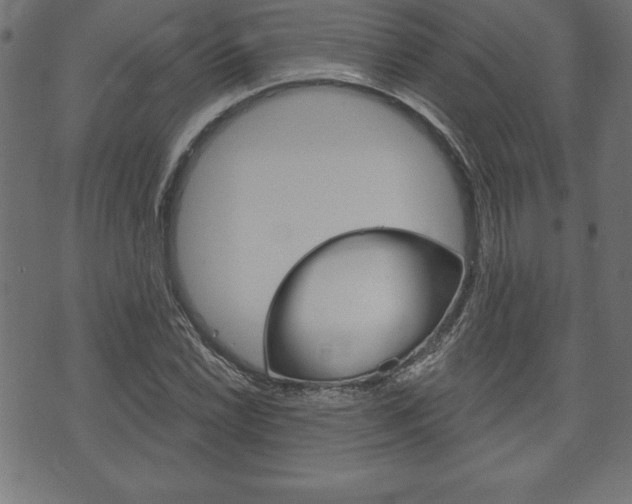 X0000074011022200608211038