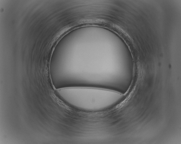 X0000074011025200608211038