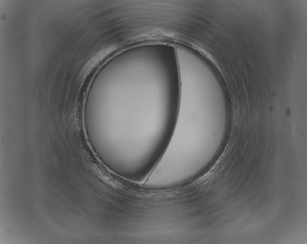 X0000074011026200608211038