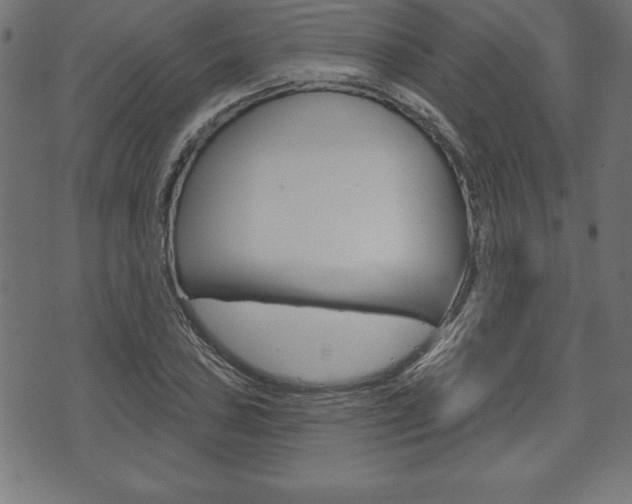 X0000074011027200608211038