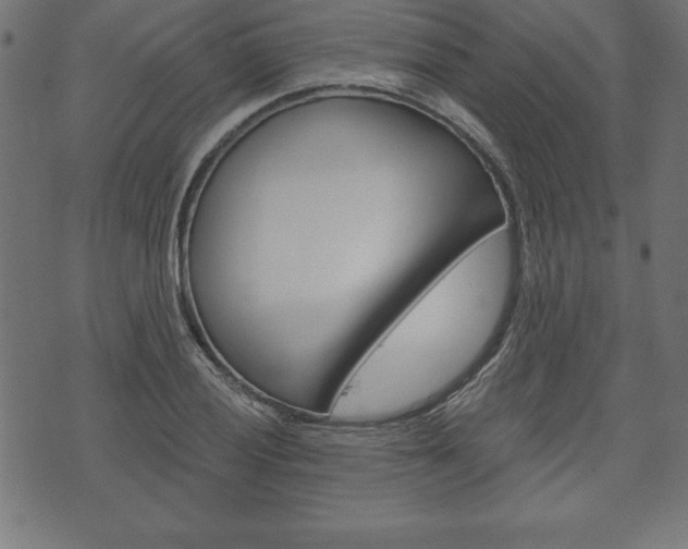 X0000074011028200608211038