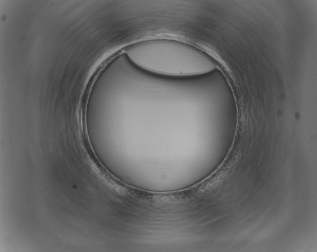 X0000074011032200608211038