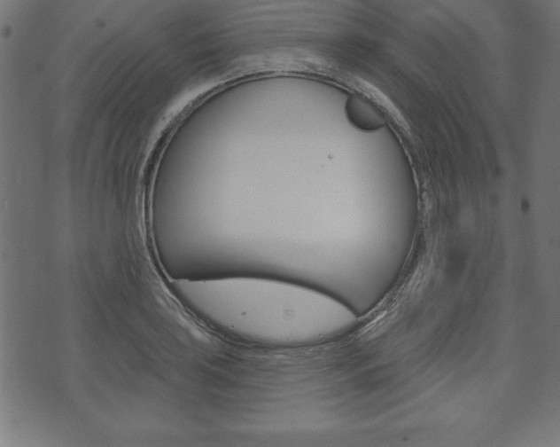 X0000074011035200608211038