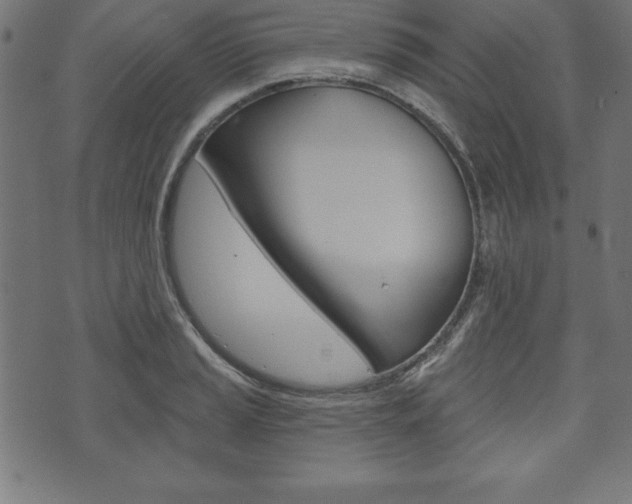 X0000074011037200608211038